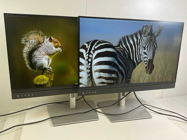 Dell (c2722de) 27”, 2560x1440 (qhd) ips monitors (2x) - afbeelding 2 van  7