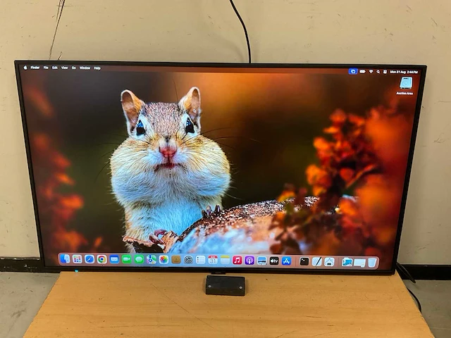 Dell (m551) 55”, 3840x2160 (uhd) ips monitor - afbeelding 1 van  6