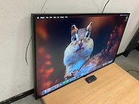 Dell (m551) 55”, 3840x2160 (uhd) ips monitor - afbeelding 2 van  6