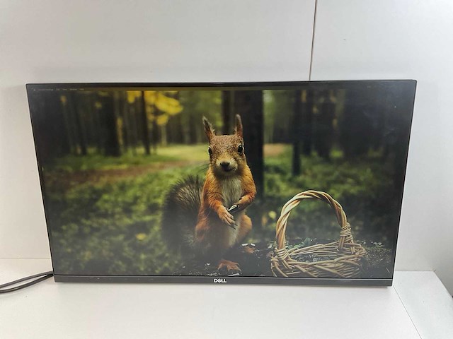Dell mix model monitors - check description (2x) - afbeelding 10 van  12