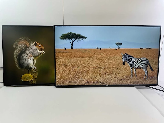Dell mix model monitors - check description (2x) - afbeelding 1 van  10