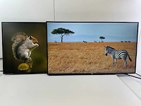 Dell mix model monitors - check description (2x)