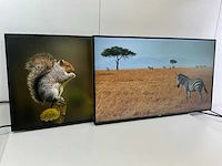 Dell mix model monitors - check description (2x) - afbeelding 3 van  10