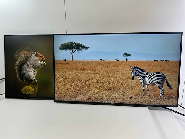 Dell mix model monitors - check description (2x) - afbeelding 4 van  10
