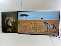 Dell mix model monitors - check description (2x) - afbeelding 4 van  10