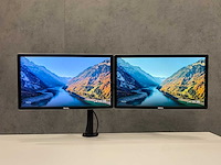 Dell p2214 - 22" monitoren met dubbele monitorarm - dp, dvi, vga, usb - afbeelding 2 van  10