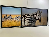 Dell (p2714hc) 27”, 1920x1080 (fhd) ips monitors (2x) - afbeelding 3 van  7