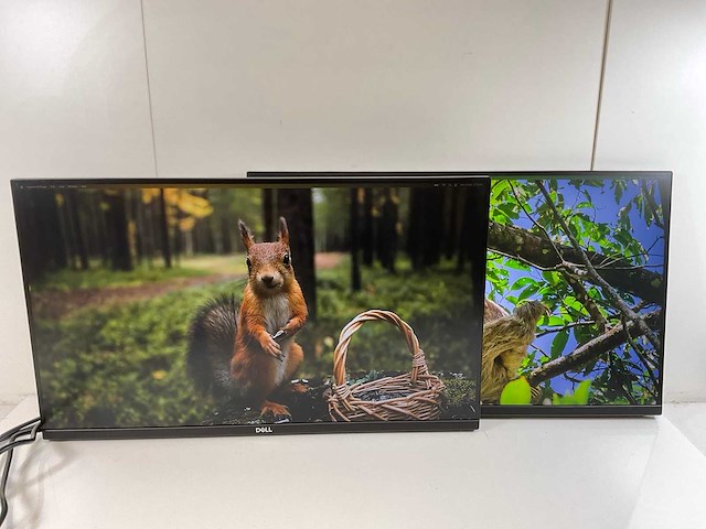 Dell (p2720dc) 27”, 2560x1440 (qhd) ips monitors (2x) - afbeelding 1 van  13