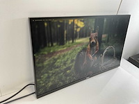 Dell (p2720dc) 27”, 2560x1440 (qhd) ips monitors (2x) - afbeelding 9 van  13