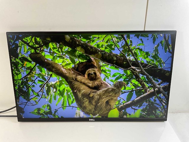 Dell (p2720dc) 27”, 2560x1440 (qhd) ips monitors (2x) - afbeelding 10 van  13