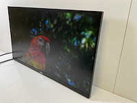 Dell (p2720dc) 27”, 2560x1440 (qhd) ips monitors (2x) - afbeelding 8 van  14