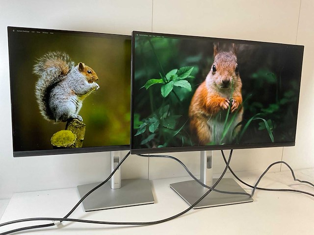 Dell (p2723de) 27”, 2560x1440 (qhd) ips monitors (2x) - afbeelding 1 van  6