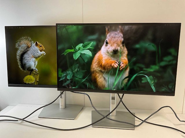 Dell (p2723de) 27”, 2560x1440 (qhd) ips monitors (2x) - afbeelding 2 van  6
