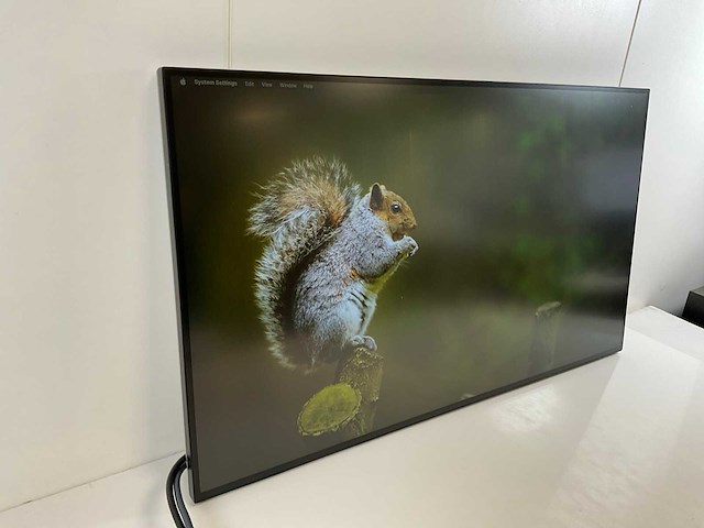 Dell (p3223qe) 32”, 3840x2160 (uhd) ips monitor - afbeelding 3 van  6