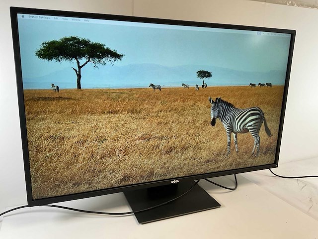 Dell (p4317q) 43”, 3840x2160 (uhd) ips monitor - afbeelding 1 van  1