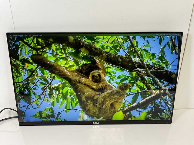 Dell (u2715ht) 27”, 1920x1080 (fhd) ips monitors (2x) - afbeelding 10 van  13