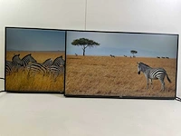 Dell (u2717d) 27”, 2560x1440 (qhd) ips monitors (2x)