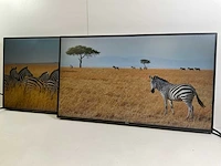 Dell (u2717d) 27”, 2560x1440 (qhd) ips monitors (2x) - afbeelding 3 van  8