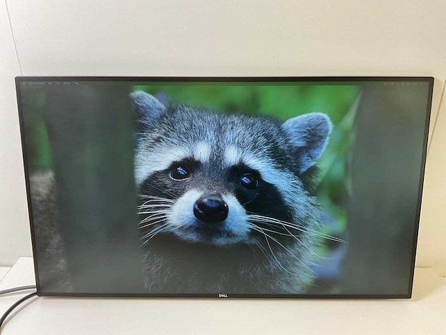 Dell (u2719dc) 27”, 2560x1440 (qhd) ips monitors (2x) - afbeelding 8 van  14