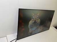 Dell (u2719dc) 27”, 2560x1440 (qhd) ips monitors (2x) - afbeelding 12 van  14