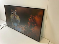 Dell (u2719dc) 27”, 2560x1440 (qhd) ips monitors (2x) - afbeelding 13 van  14