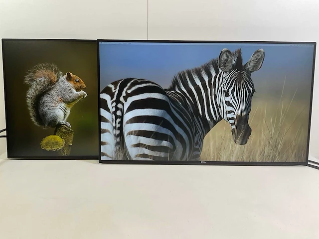 Dell (u2719dc) 27”, 2560x1440 (qhd) ips monitors (2x) - afbeelding 1 van  7