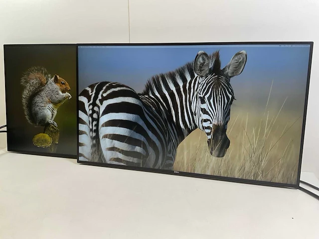 Dell (u2719dc) 27”, 2560x1440 (qhd) ips monitors (2x) - afbeelding 3 van  7