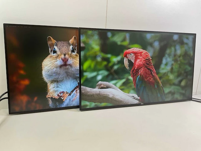 Dell (u2719dc) 27”, 2560x1440 (qhd) ips monitors (2x) - afbeelding 2 van  7