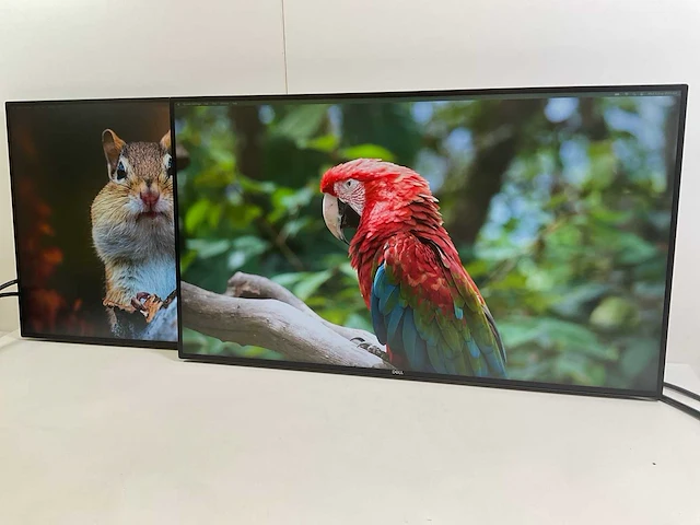 Dell (u2719dc) 27”, 2560x1440 (qhd) ips monitors (2x) - afbeelding 3 van  7