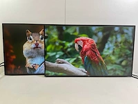 Dell (u2719dc) 27”, 2560x1440 (qhd) ips monitors (2x)