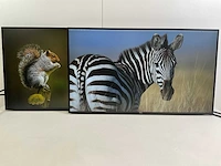 Dell (u2719dc) 27”, 2560x1440 (qhd) ips monitors (2x)