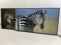 Dell (u2719dc) 27”, 2560x1440 (qhd) ips monitors (2x) - afbeelding 3 van  8
