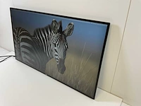 Dell (u2719dc) 27”, 2560x1440 (qhd) ips monitors (2x) - afbeelding 7 van  12