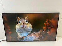 Dell (u2719dc) 27”, 2560x1440 (qhd) ips monitors (2x) - afbeelding 9 van  13