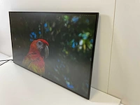 Dell (u2719dc) 27”, 2560x1440 (qhd) ips monitors (2x) - afbeelding 10 van  12