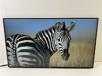 Dell (u2719dc) 27”, 2560x1440 (qhd) ips monitors (2x) - afbeelding 6 van  12