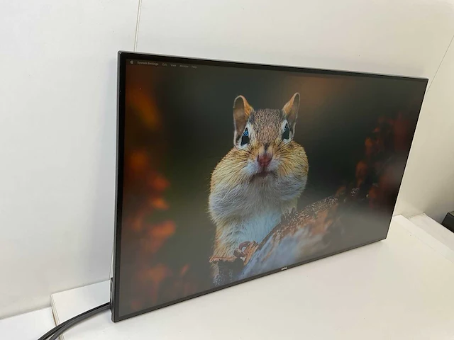 Dell (u2719dc) 27”, 2560x1440 (qhd) ips monitors (2x) - afbeelding 11 van  13