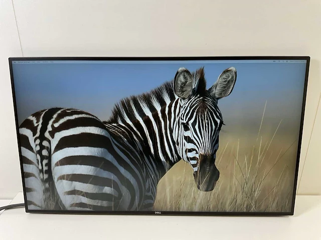 Dell (u2719dc) 27”, 2560x1440 (qhd) ips monitors (2x) - afbeelding 6 van  12