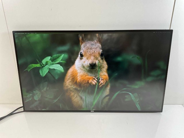 Dell (u2721de) 27”, 2560x1440 (qhd) ips monitors (2x) - afbeelding 6 van  12