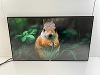 Dell (u2721de) 27”, 2560x1440 (qhd) ips monitors (2x) - afbeelding 6 van  12