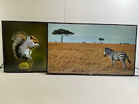 Dell (u2721de) 27”, 2560x1440 (qhd) ips monitors (2x) - afbeelding 1 van  7