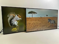 Dell (u2721de) 27”, 2560x1440 (qhd) ips monitors (2x) - afbeelding 2 van  7
