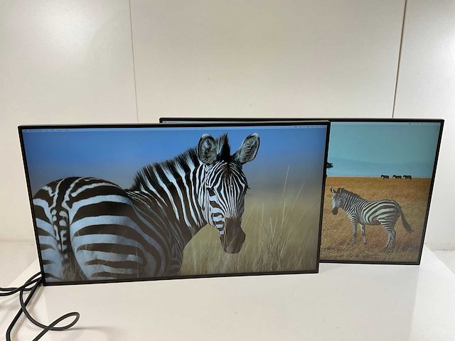 Dell (u2722de) 27”, 2560x1440 (qhd) ips monitors (2x) - afbeelding 1 van  11