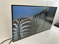 Dell (u2722de) 27”, 2560x1440 (qhd) ips monitors (2x) - afbeelding 7 van  11