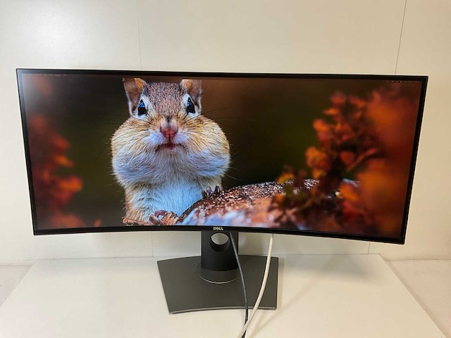 Dell (u3419w) 34”, 3440x1440 (uwqhd) ips curved monitor - afbeelding 1 van  3