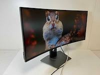 Dell (u3419w) 34”, 3440x1440 (uwqhd) ips curved monitor - afbeelding 3 van  6