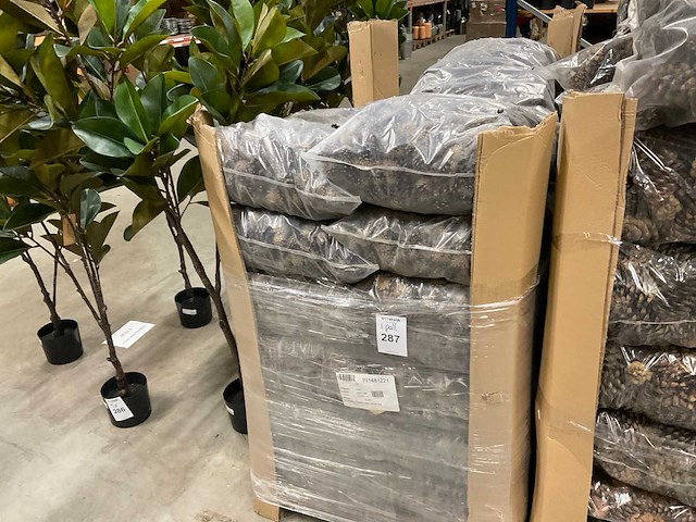 Denneappels - afbeelding 1 van  4