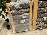 Denneappels - afbeelding 2 van  4