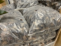 Denneappels - afbeelding 3 van  4