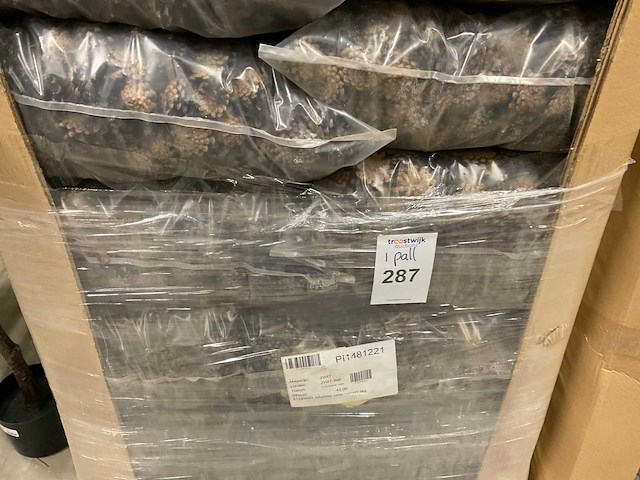 Denneappels - afbeelding 4 van  4